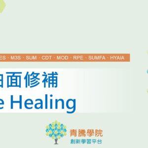3DE_R2024_輔助曲面修補_Shape Healing